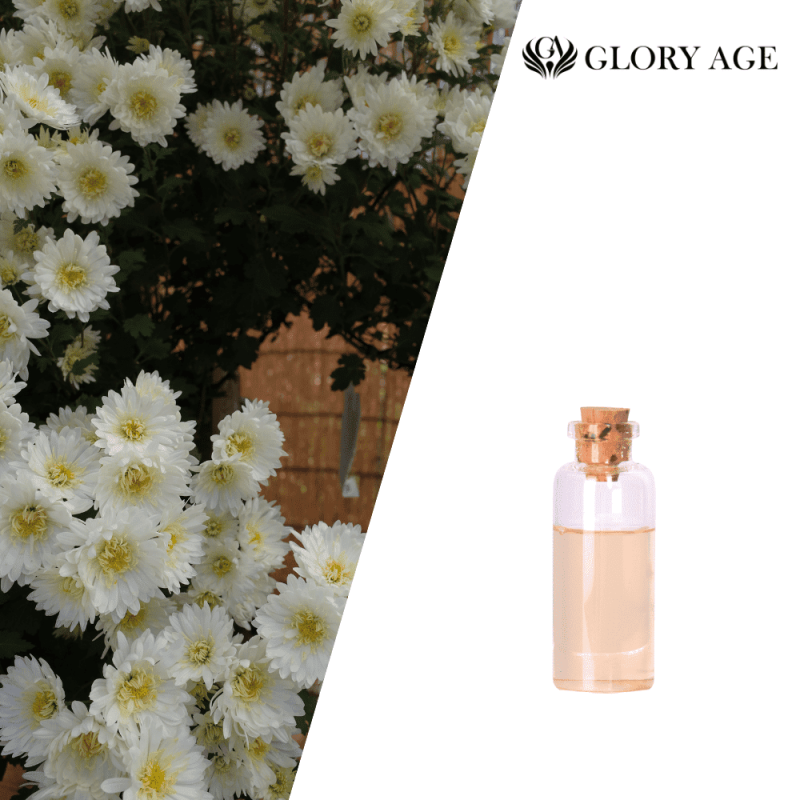 Gloryage Anti-R Effective Skin Soothing Care Anti-Redness Acne-fighting Antioxidant Ingredients Beauty Personal Care
