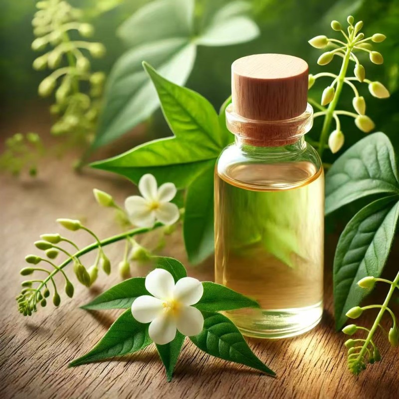 Mikania Micrantha Botanical Extract Air Fresheners Skin Cell Proliferation Cell Activation Wound Healing Anti-Inflammatory Daily Chemicals