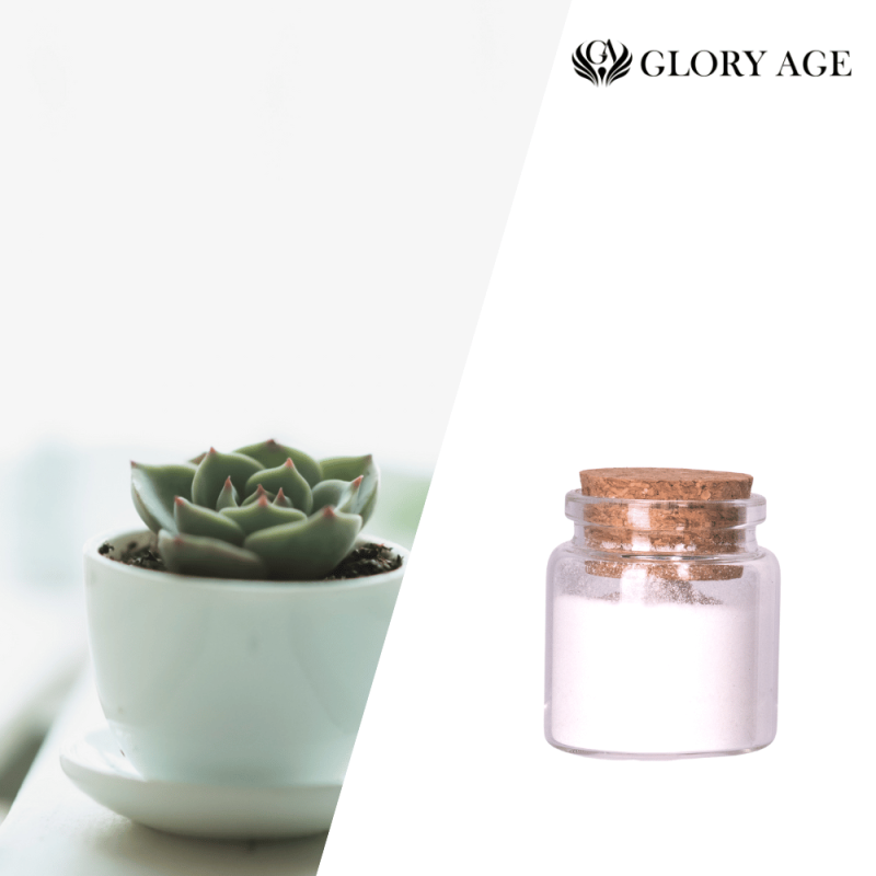 Gloryage Polysacgem Custom Skin Care Face Cream & Lotion Sempervivum Tectorum Best Anti-Aging Ingredients for Moisturizing