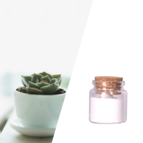 Botanical Polysaccharides Intensive Hydrating Moisturizer Thickening Agents for Improved Skin Texture Daily Use Product Daily Chemicals