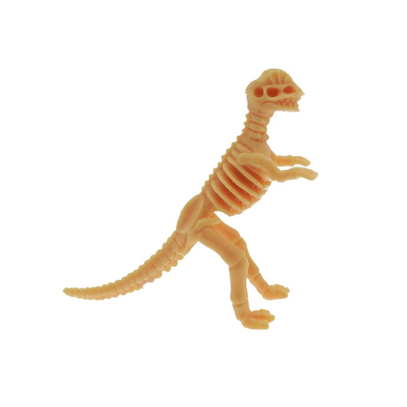 Skeletonized Dinosaur Supplier - Plastic Toys for Child