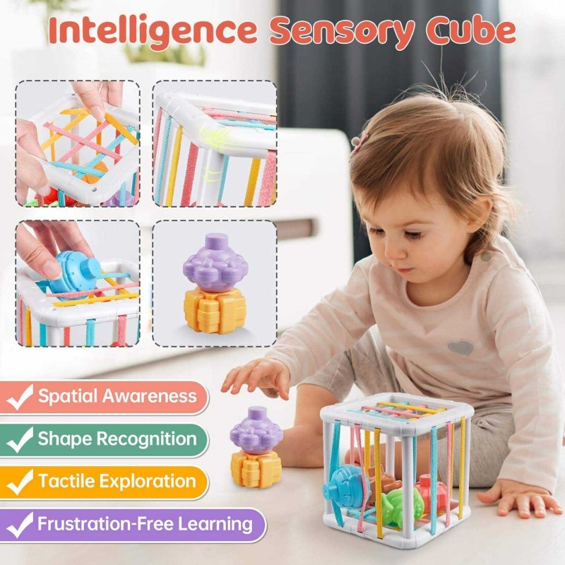 Pretend Play Toys Supplier - 6 in 1 Harmless Sensory Teething