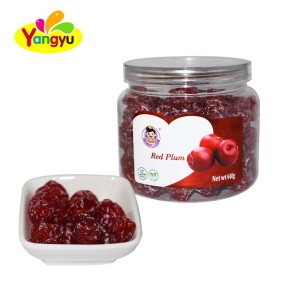 Plum Strips Supplier - Halal Preserved Fruit