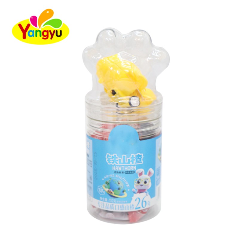 Hawthorn Lollipop Supplier - Cartoon Delicious Dried Fruit