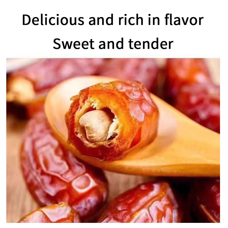 Dried Date Palm Supplier - Natural Sweet Rich Vitamins Bulk
