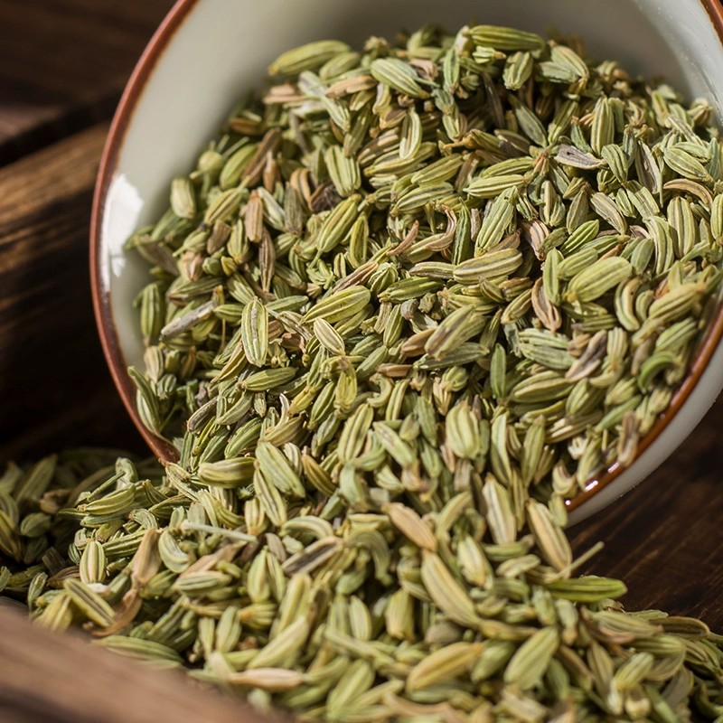 Cumin Seed Supplier - Origin Direct Green Fennel Seeds