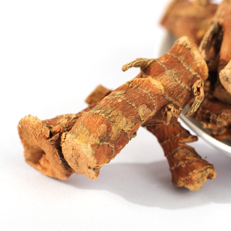 Galangal Root Supplier - Premium Single Spice Herb Bulk