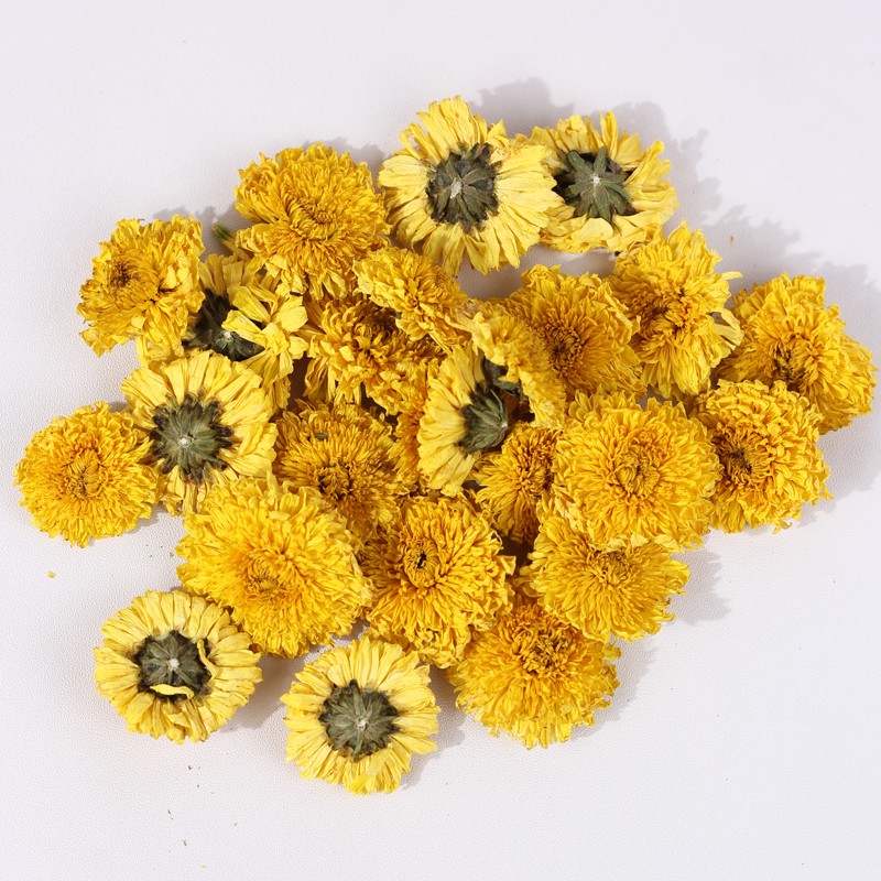 Dried Flower Tea Factory - Golden Chrysanthemum Flower Supply