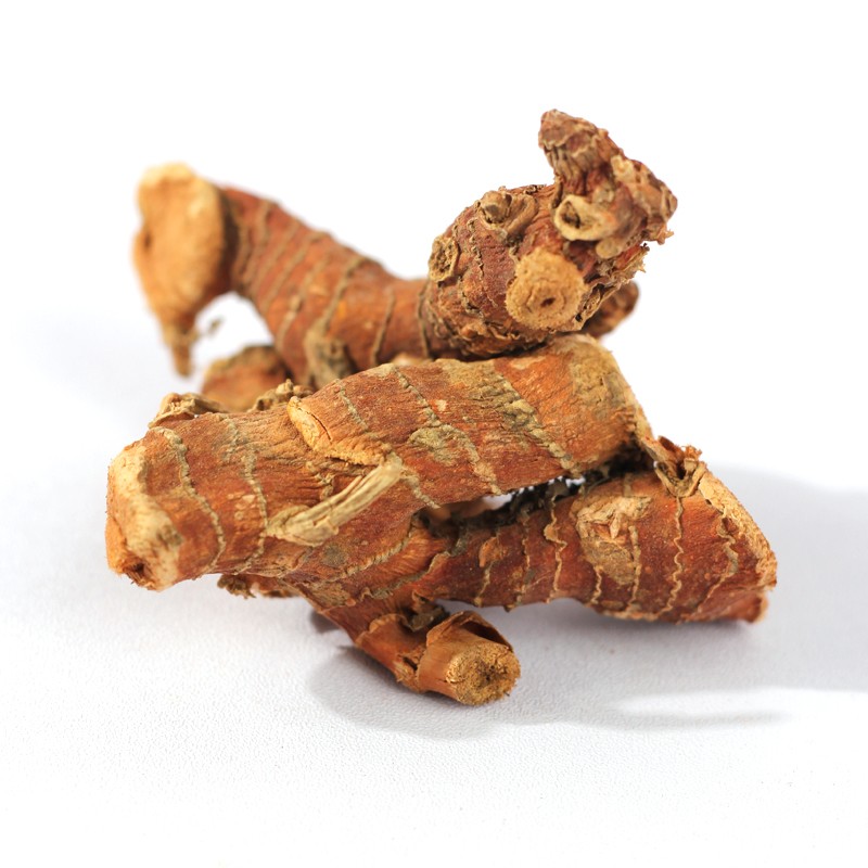Galangal Root Supplier - Premium Single Spice Herb Bulk