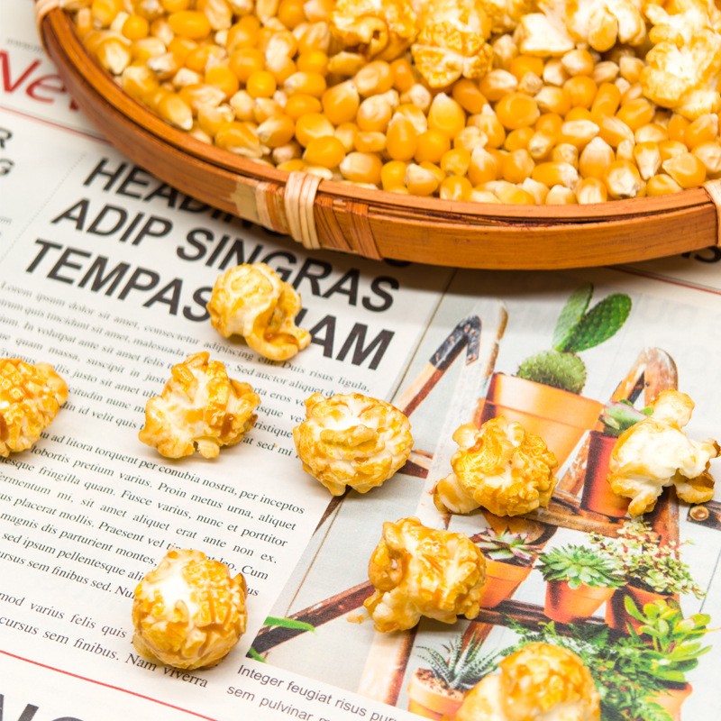 Mushroom Popcorn Factory - Corn Kernels Grain Snacks Wholesale