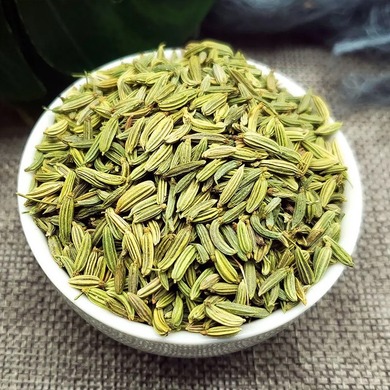 Fennel Seeds Manufacturer - Organic Premium Long-Lasting Spice