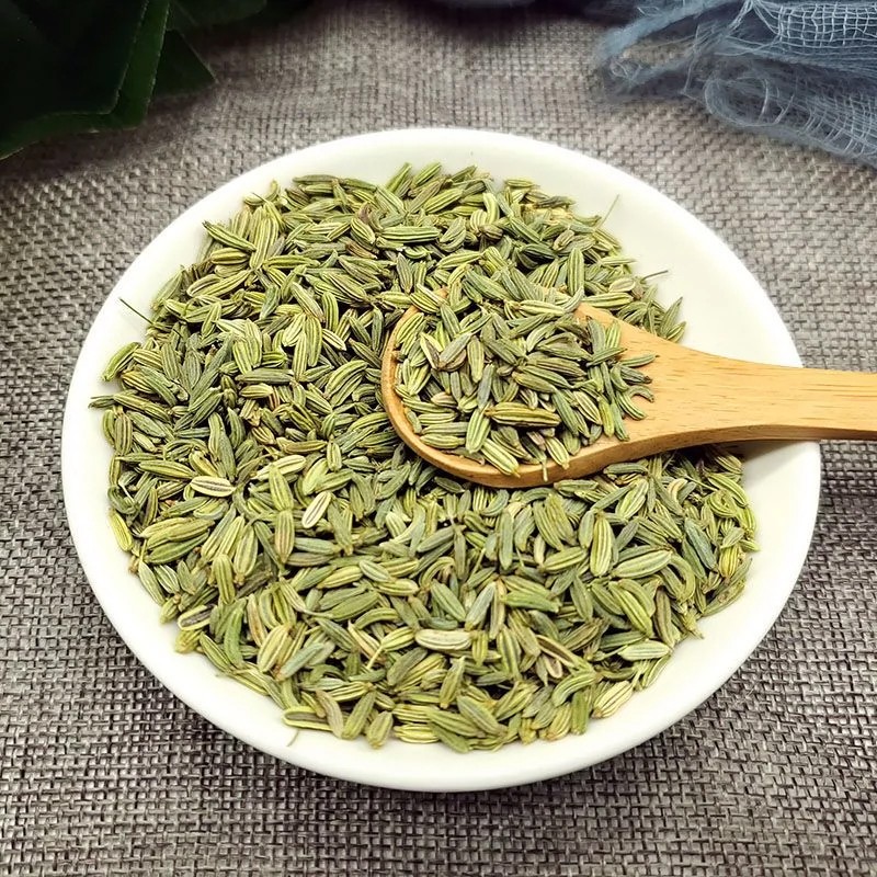 Fennel Seeds Manufacturer - Organic Premium Long-Lasting Spice