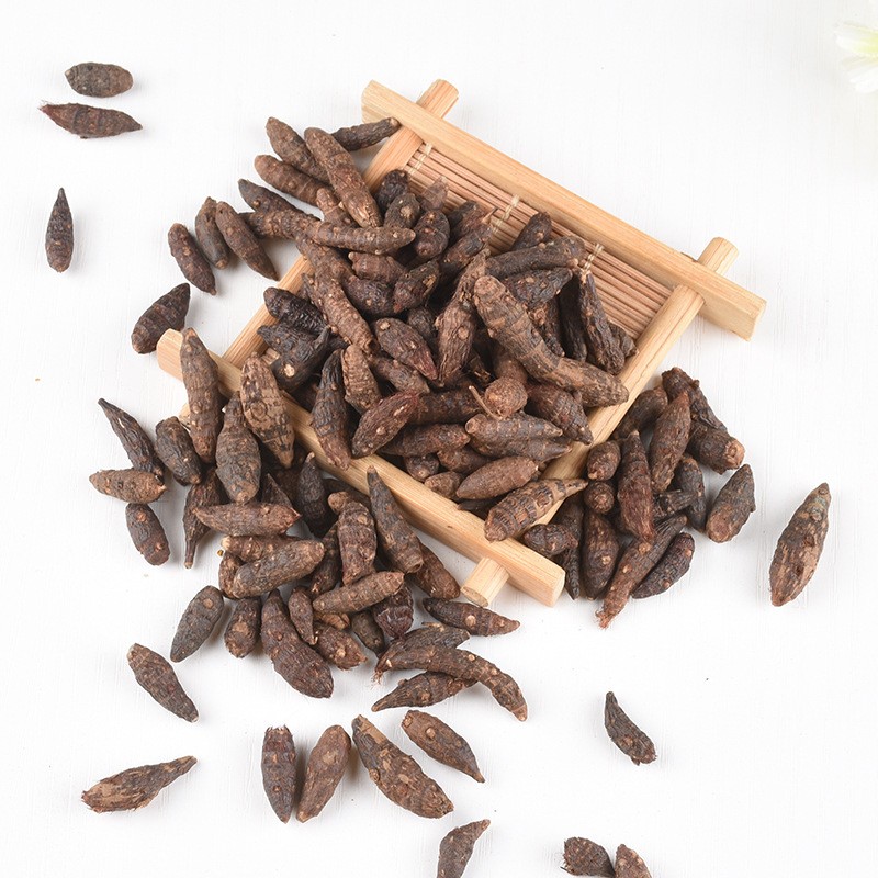 Cyperus Root Supplier - Natural Dried Rhizoma Cyperi Sale