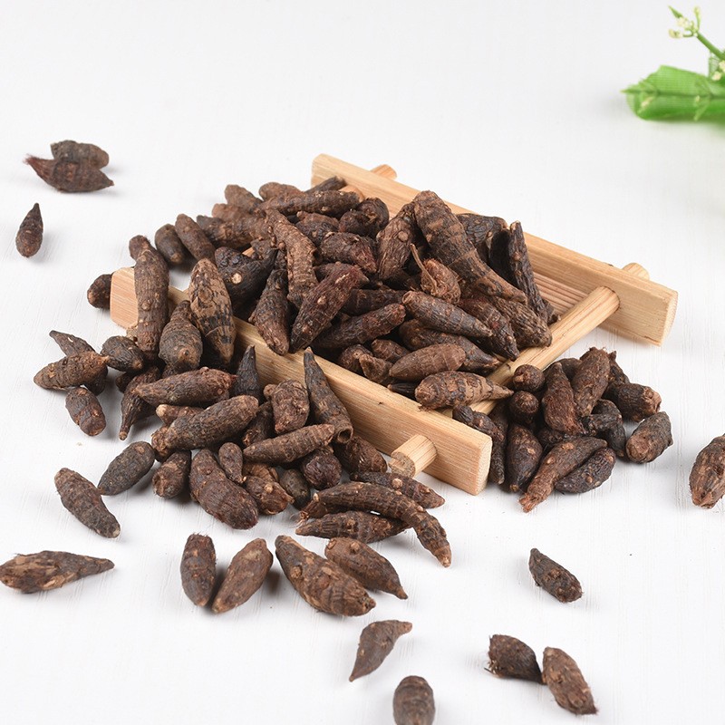 Cyperus Root Supplier - Natural Dried Rhizoma Cyperi Sale