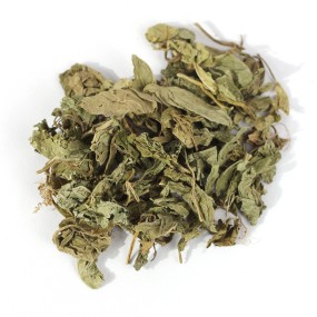 Lysimachia Herb Supplier - Foenum-graecum Health Spice
