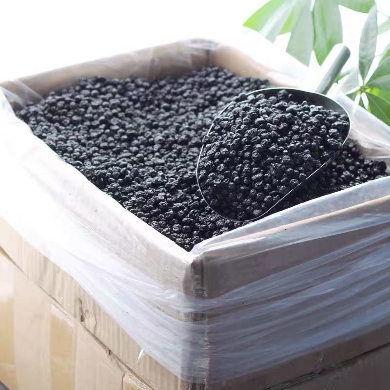 Blueberry Supplier - Dried Fruits Healthy Delicious Rich Nutrition