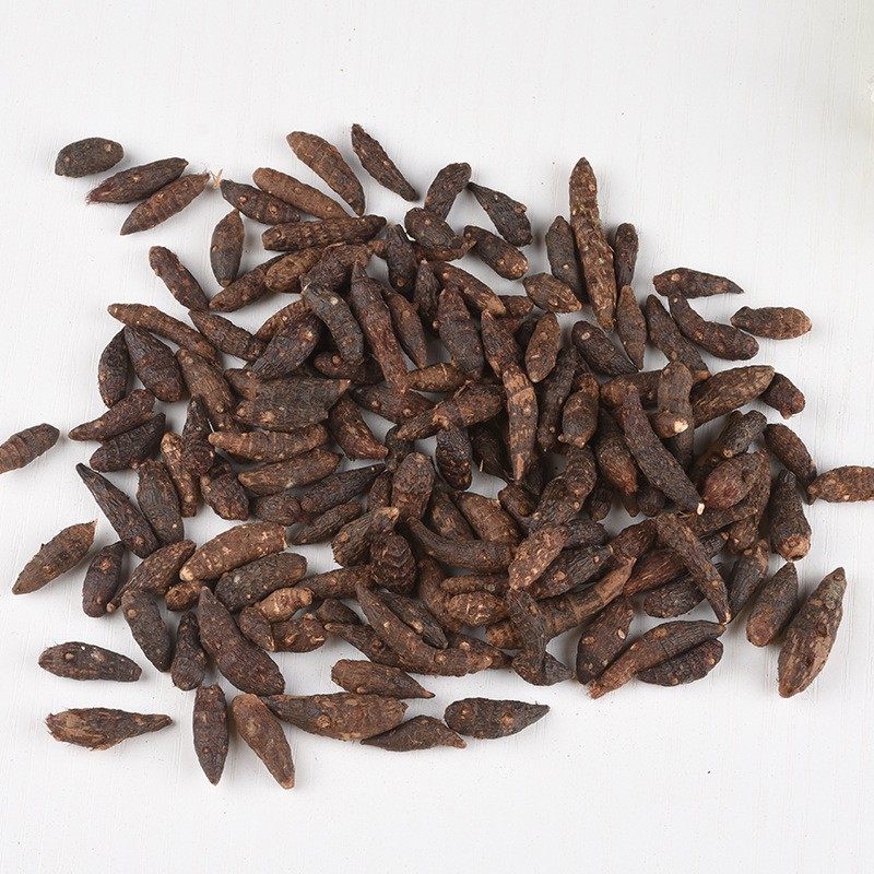 Cyperus Root Supplier - Natural Dried Rhizoma Cyperi Sale