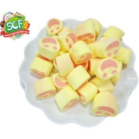 Aerating Candy Factory - Sugar Free Fruity Marshmallow Bag