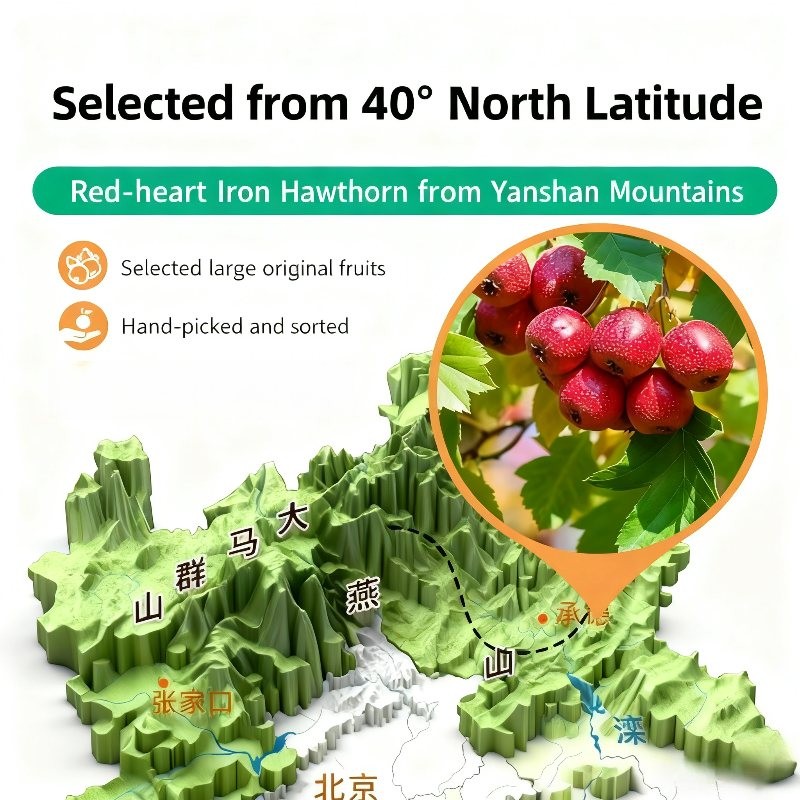 Self Heating Meal Supplier - Convenient 5 Flavors Hotpot Spicy