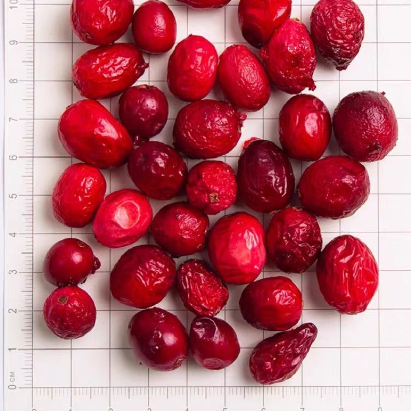 Freeze Dried Cranberry Factory - No Preservative Lyophilized Whole