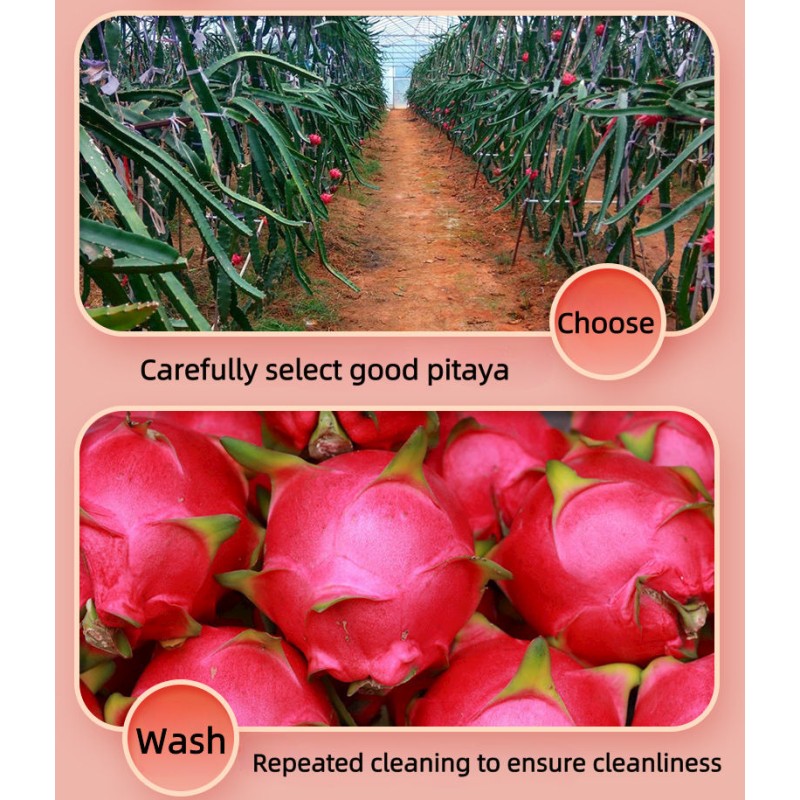 Dragon Fruit Supplier - Manufacturer Direct Sweet Taste Crispy