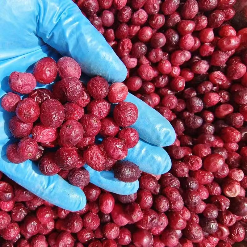 Freeze Dried Cranberry Manufacturer - Wholesale Natural Pure Dried