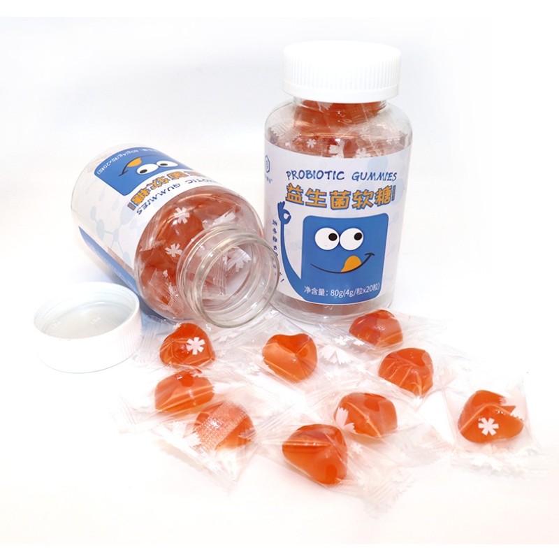 Freeze Dried Fruit Supplier - Chocolate Covered Strawberry