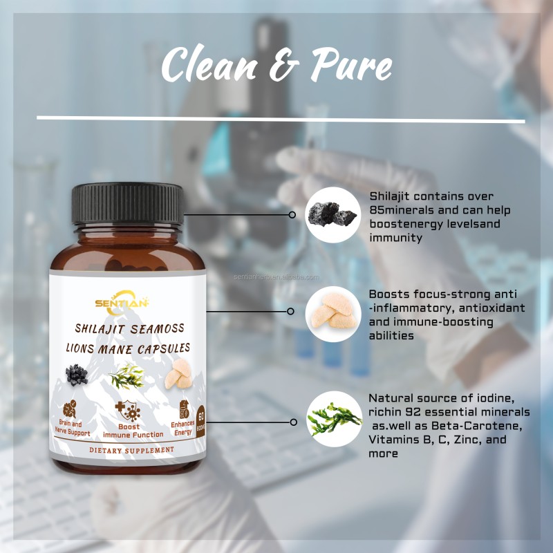 OEM Private Label All in 1 Shilajit Sea Moss Lions Mane Extract Capsules Dietray Supplement Shlajit Capsule Adult