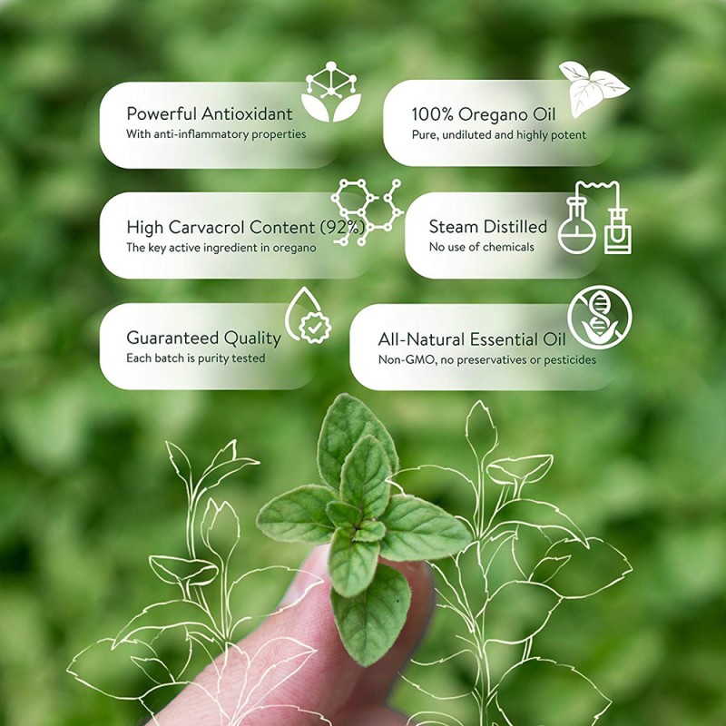 OEM Heath Supplement Organic Private Label Oregano Oil Liquid Herbal Supplements Oil of Oregano Drops Gut Health