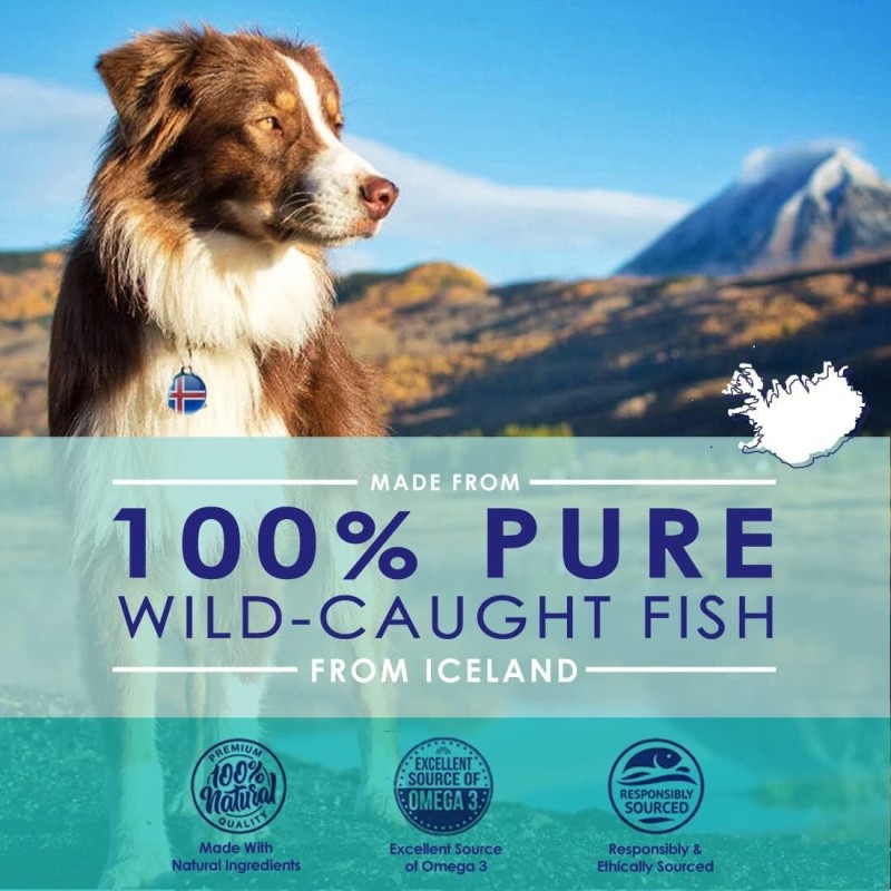 Food Supplement Pure Wild Alaskan Salmon Pet Fish Oil Omega 3 EPA DHA for Dogs & Cats Support Joint Immune Health Liquid