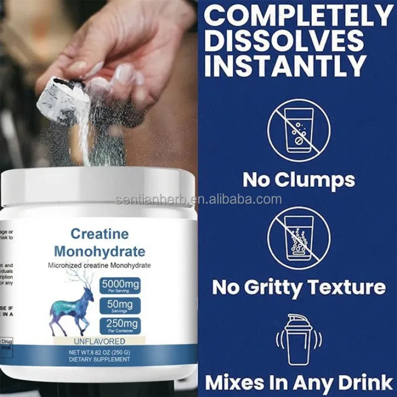 Private Label Pure Creatine Monohydrate Powder Bulk Wholesale Creatine Pre Workout Powder Muscle Supplement for Men