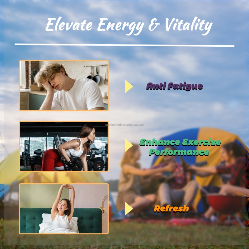 Original Shilajit Resin Pure Himalayan Organic Extract Supplement Fulvic Acid Shilajit Resin Gold Bulk