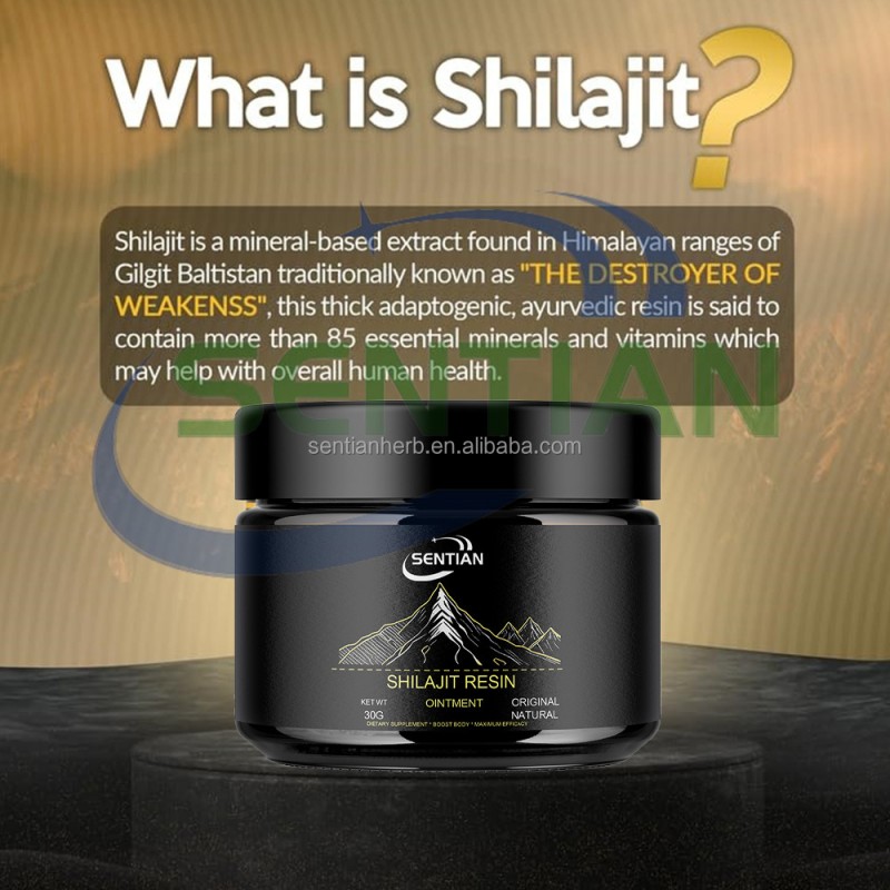 Pure Organic Himalayan Shilajit Resin Shilajit Supplement 50g Shilajir Reain
