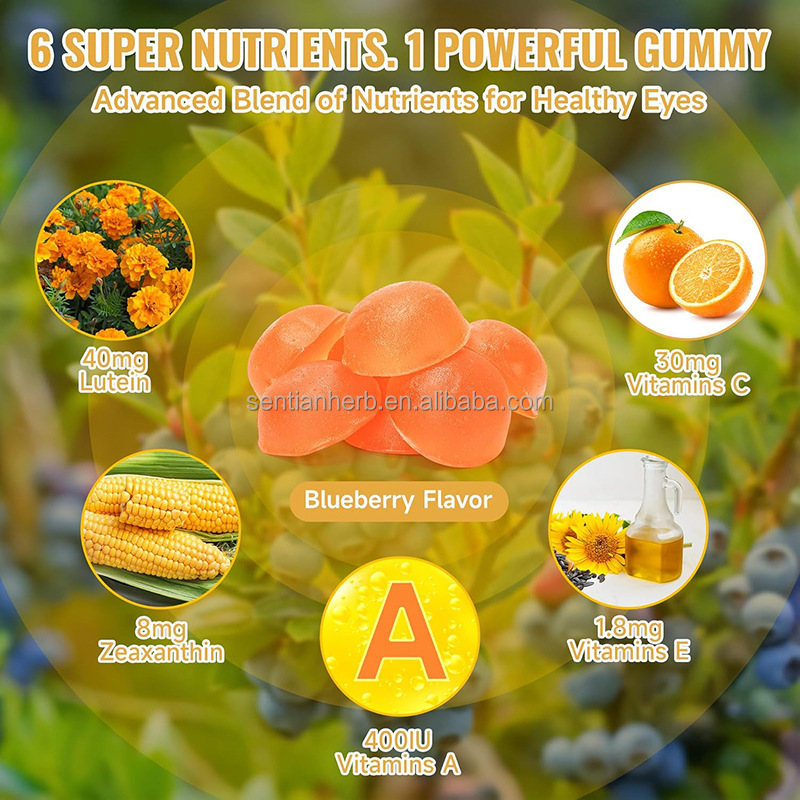 Herbal Supplement Lutein Zeaxanthin Gummies Blueberry Flavor Vitamin a C E Eye Health Gummy for Eye Care Kids