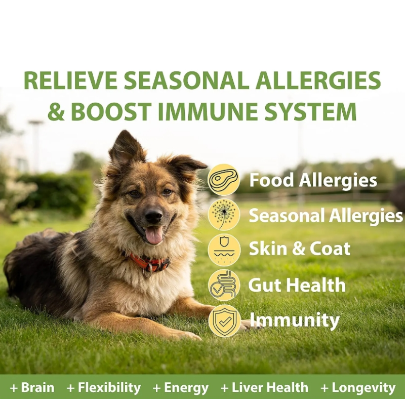 Allergy Relief Dog Treats Soft Chews Relief Immune Digestive Supplement Skin Coat Health Soft Chew for Dogs