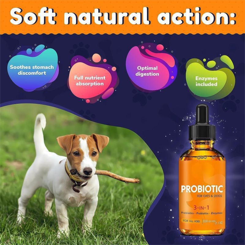 OEM Digestive Pet Health Care Supplements Gut Probiotic Drops Deworm Herbal Probiotics Liquid Has Anti-Parasitic Properties