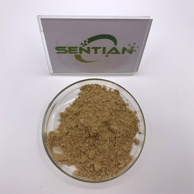 Factory Wholesale Microbial Chymosin Enzyme Rennet Powder Cheese Price for Cheese Fungi or Bacteria