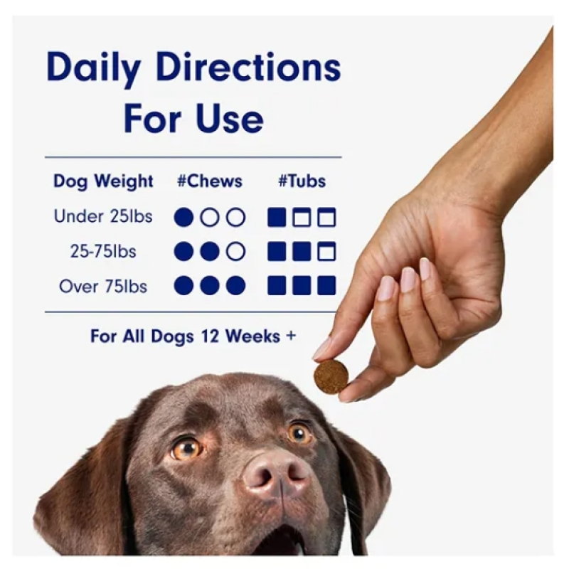 Digestive Enzymes Dog Cat Probiotic Soft Chews Probiotics for Dogs Health Diarrhea & Bowel Support Pet Supplement Chewable