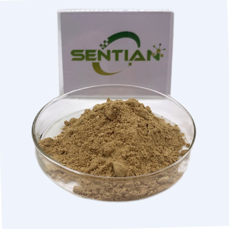 Factory Wholesale Microbial Chymosin Enzyme Rennet Powder Cheese Price for Cheese Fungi or Bacteria