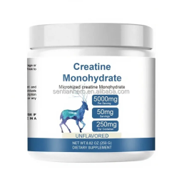 Private Label  Wholesale Creatine Monohydrate Bulk Pure Creatine Powder for Energy Supplements Strengthen Muscle Support