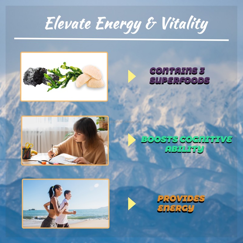 Manufacturer OEM Shilajit Sea Moss Lions Mane Capsules Supplement Natural Himalayan Shlajit Capsule Price