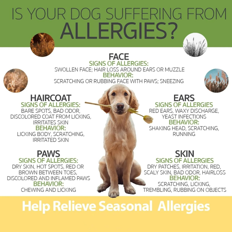 Allergy Relief Dog Treats Soft Chews Relief Immune Digestive Supplement Skin Coat Health Soft Chew for Dogs