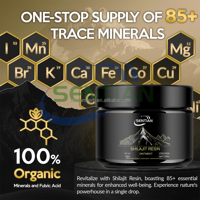 Pure Organic Himalayan Shilajit Resin Shilajit Supplement 50g Shilajir Reain