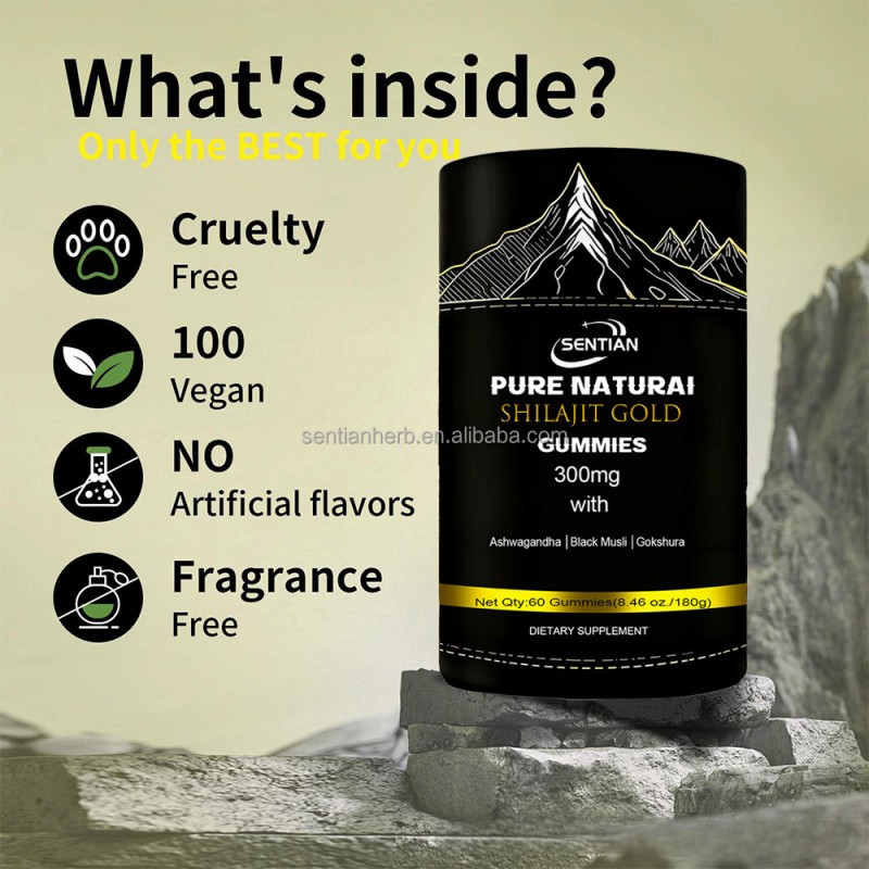 Hot Sale Private Label All in 1 Pure Himalayan Shilajit Gummies Ashwagaganda Boost Energy Fulvic Acid & 85+ Trace Minerals