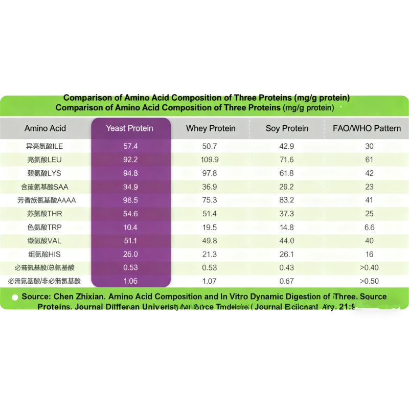 Food Grade Yeast Protein Isolate Supplement for Nutrition Baking Snacks Meat Grade Thickener Ingredients