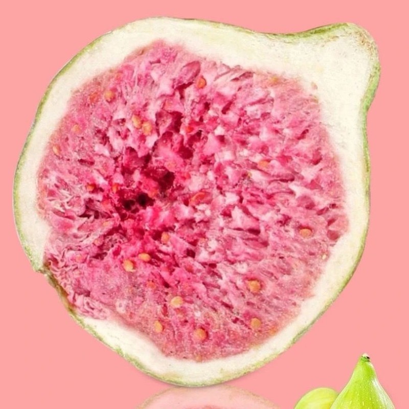 Fig Chips Factory - Freeze Dried Snowflake Crisp Fruit Snack