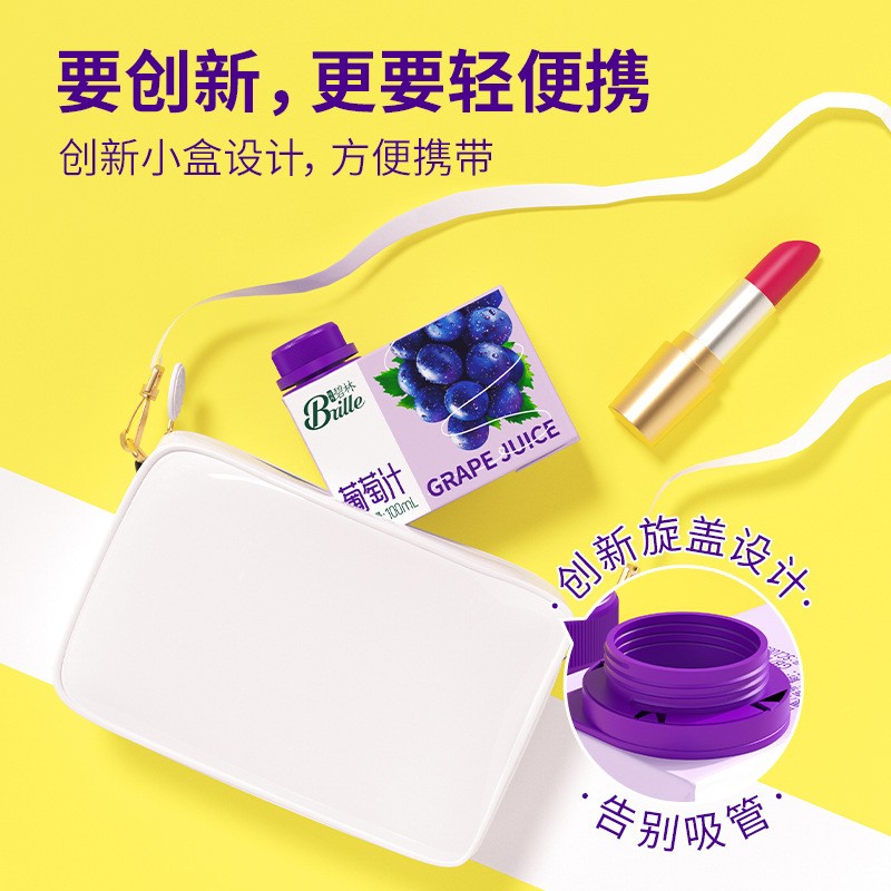 Vegetable Juice Supplier - Natural Orange Bayberry Pimberry Mini