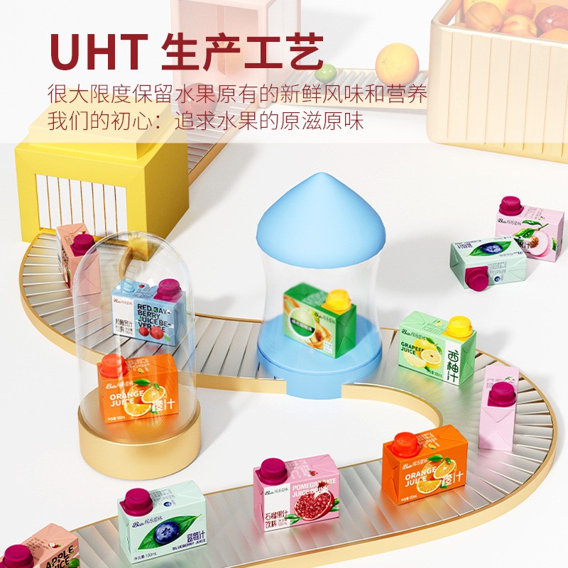 Vegetable Juice Supplier - Natural Orange Bayberry Pimberry Mini