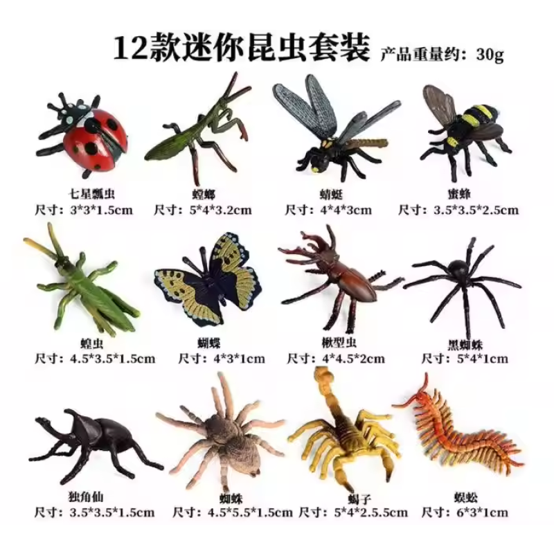 Insect Model Toy Supplier - Simulation Wild Animal Mantis Grasshopper