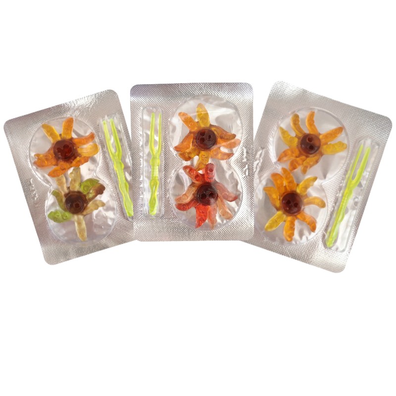 Octopus Gummy Manufacturer - Cartoon Shape Colorful Fruit